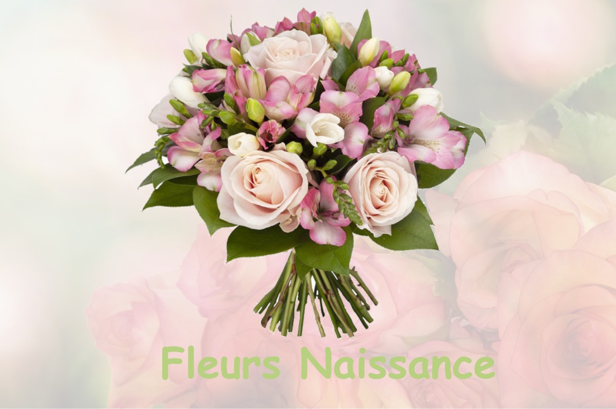 fleurs naissance SAINT-PAUL-DE-FOURQUES
